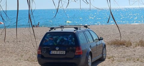 Fotografie atașată observației